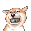 Angry Missile
