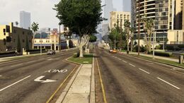 PalominoAve-GTAV