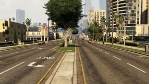 PalominoAve-GTAV