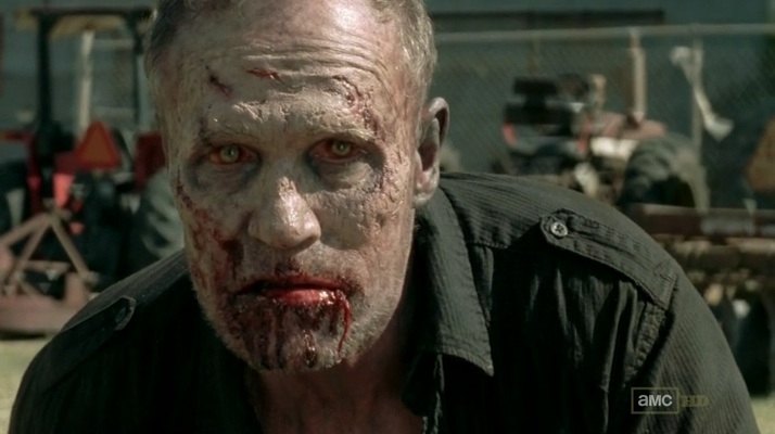 Merle_zombie_3x15.jpg