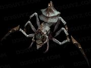 ARACHNID HORROR