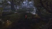 TheDarkwood