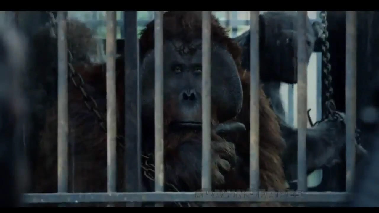 Dawn of the Planet of the Apes - Wikipedia