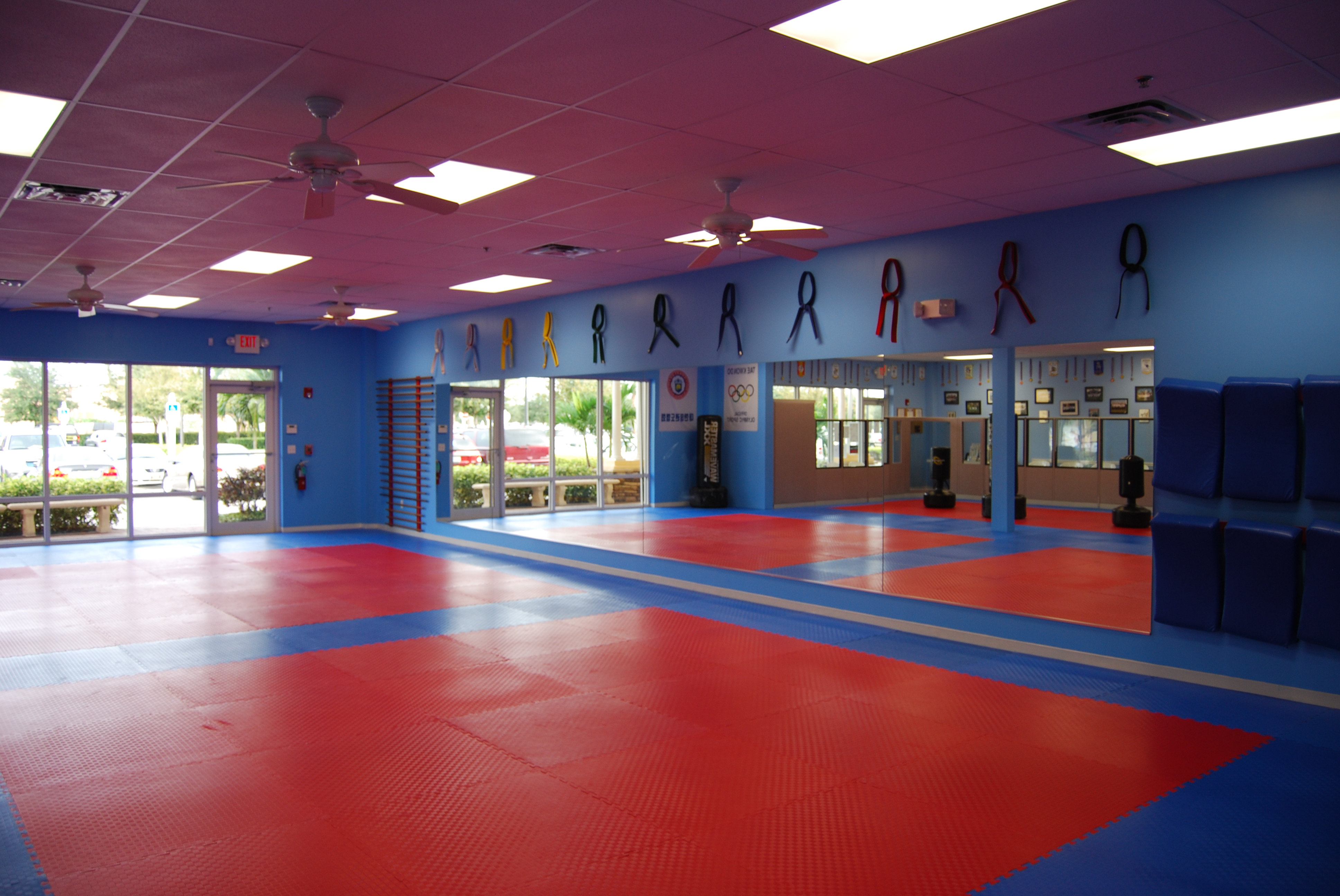 Taekwondo Schools - Taekwondo Wiki