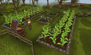 Harvesting a farming patch