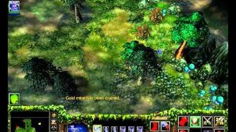 Warcraft III Reign of Chaos The Druids Arise