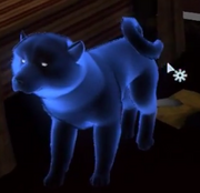 Ghost waffles