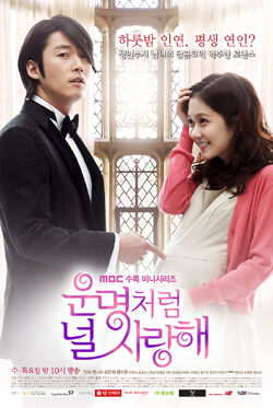 Fated To Love You (MBC)2014