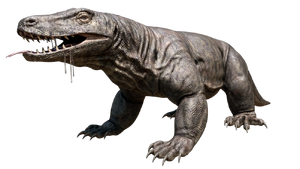 300px-Megalania-1.png