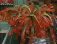 Jelly Slugs