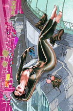 Arquivos Ultra Secretos dos Super Heróis e Super Vilões 150px-Catwoman_Vol_4_1_Textless