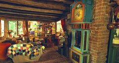Burrow11