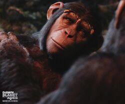 Dawn of the Planet of the Apes Trailers NOW ON DIGITAL HD