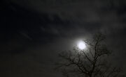 Cloudysky