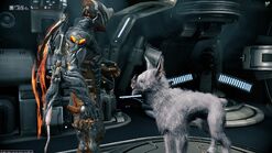 kubrow warframe pet