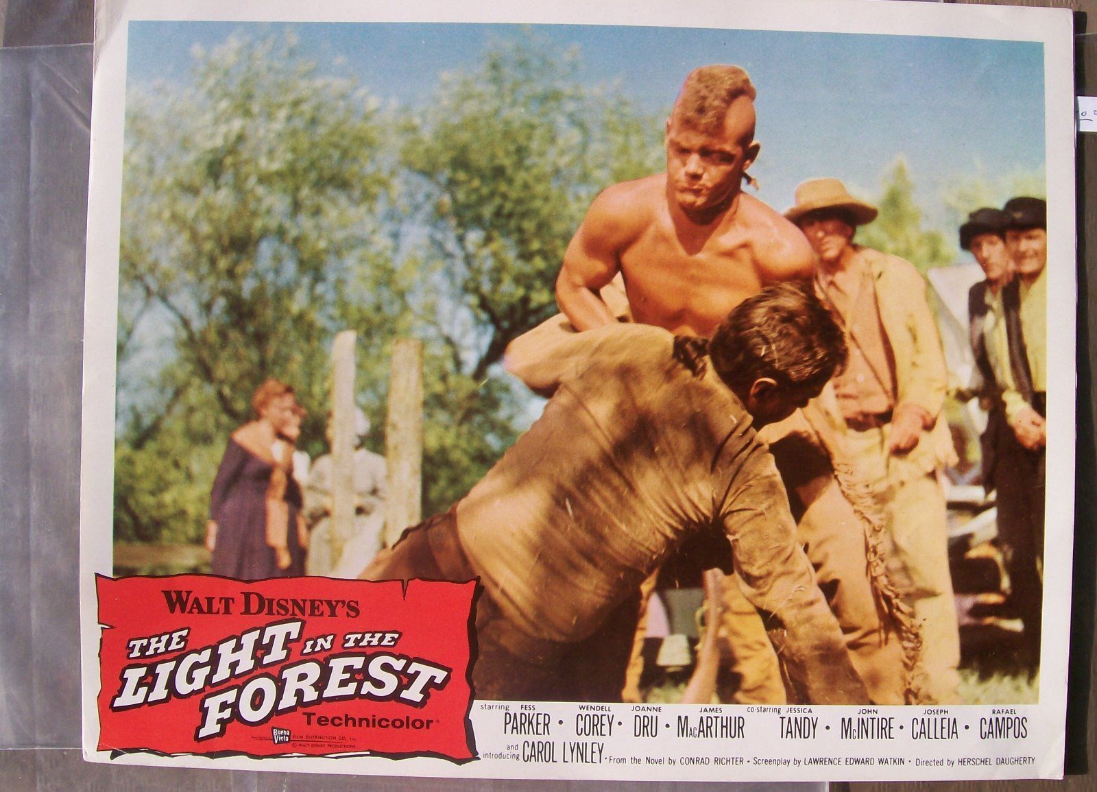 The Light in the Forest Disney Wiki Wikia