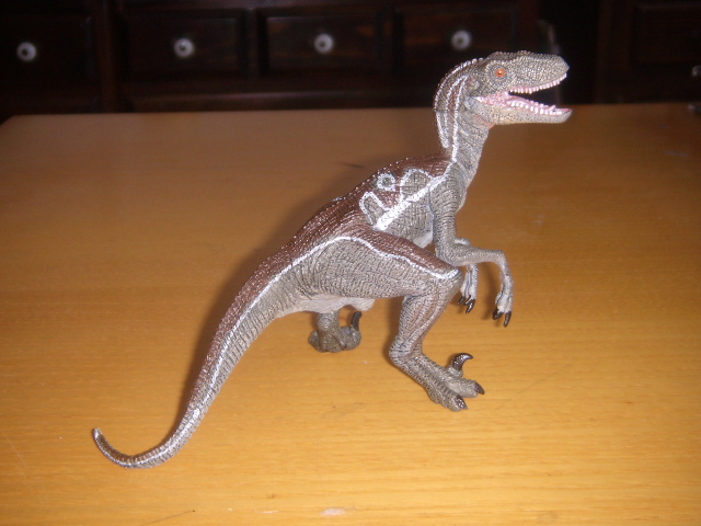 raptor papo