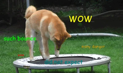 Dancing_Doge.gif