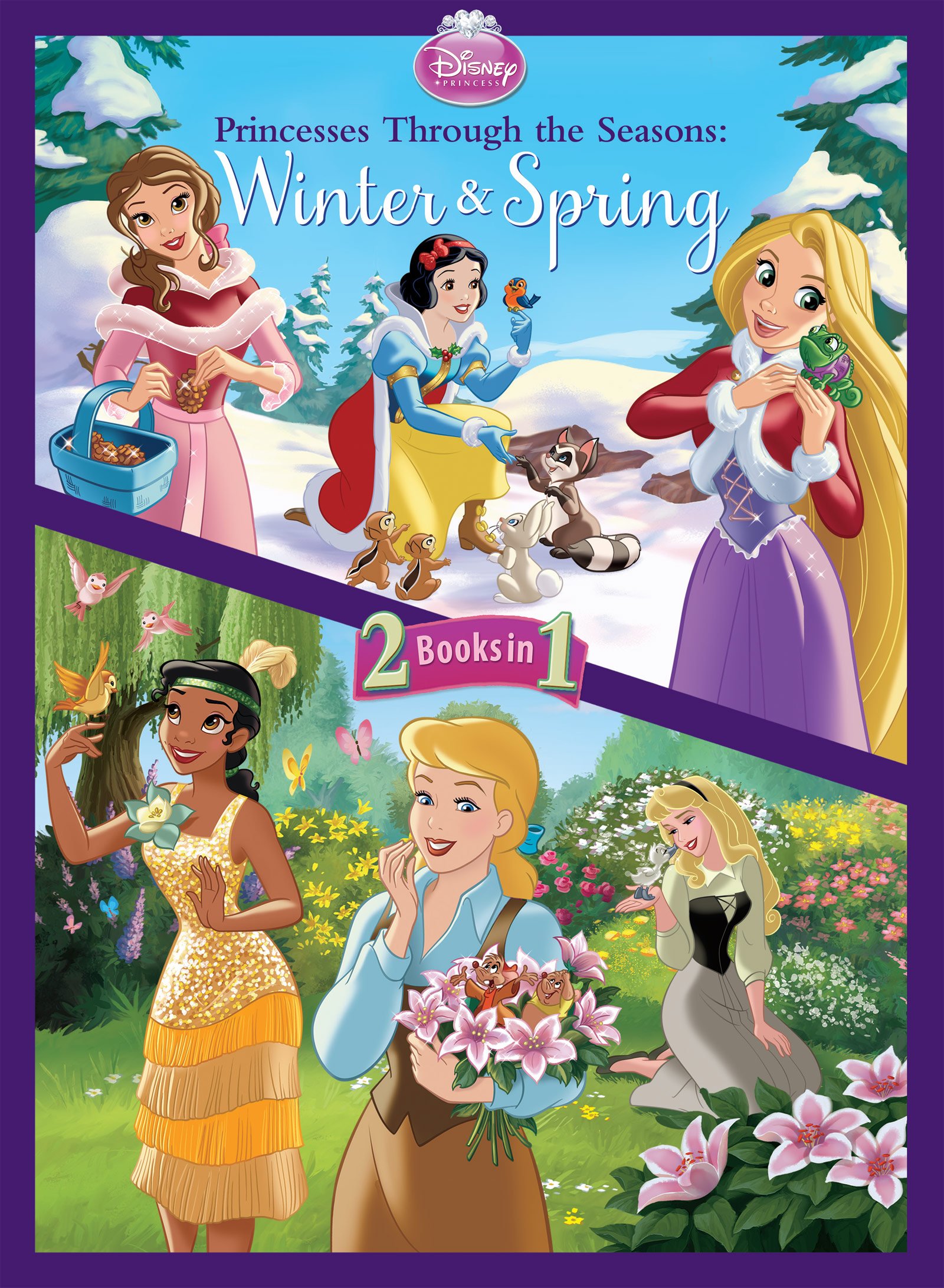 Image Disney Princess Princesses Through the Seasons Book.jpg