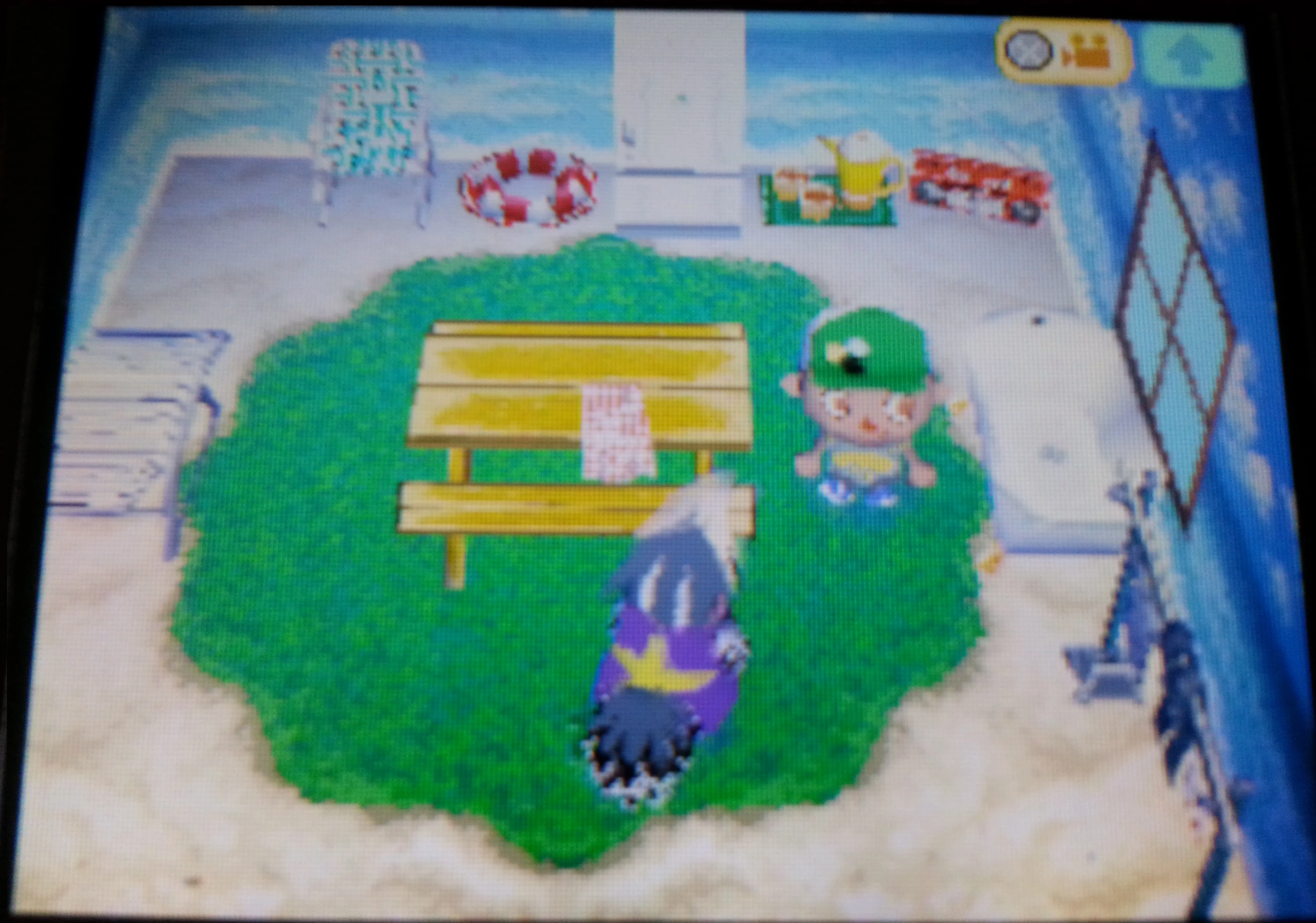 Antonio Animal Crossing Wiki