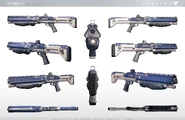 Destiny Shotgun 1