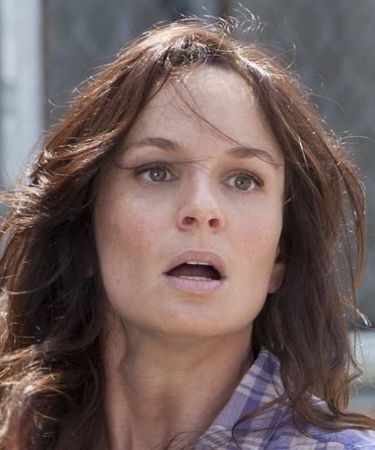 Lori Grimes (TV Series) - Walking Dead Wiki