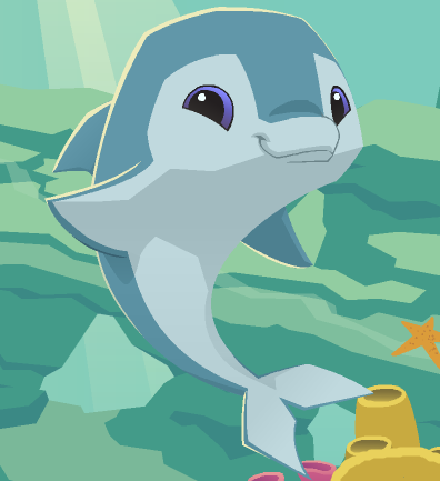 Dolphin - Animal Jam Wiki