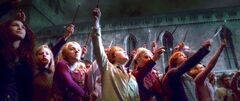 Wand raising1