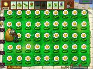 Marigold - Plants Vs. Zombies Wiki, The Free Plants Vs. Zombies ...