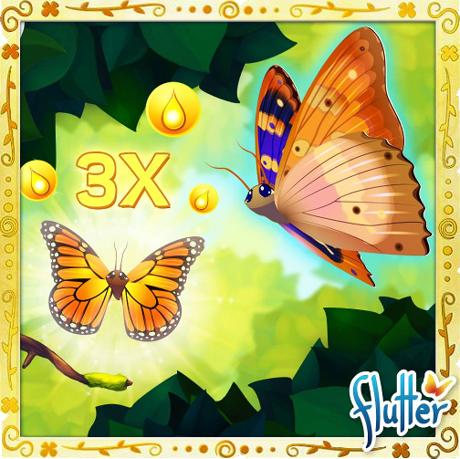 flutter butterfly sanctuary all saltar butterflies flutter butterfly sanctuary all saltar butterflies