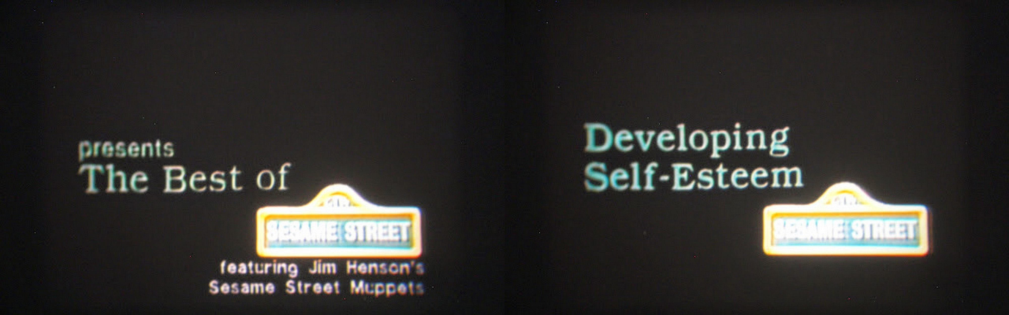 Developing Self-Esteem - Muppet Wiki4000 x 1250