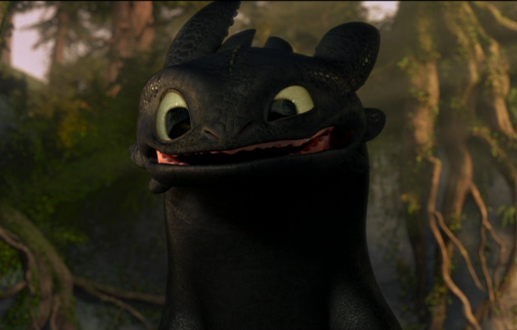 10 inch toothless