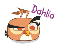 Dahlia - Angry Birds Wiki