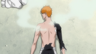 272Ichigo is healed