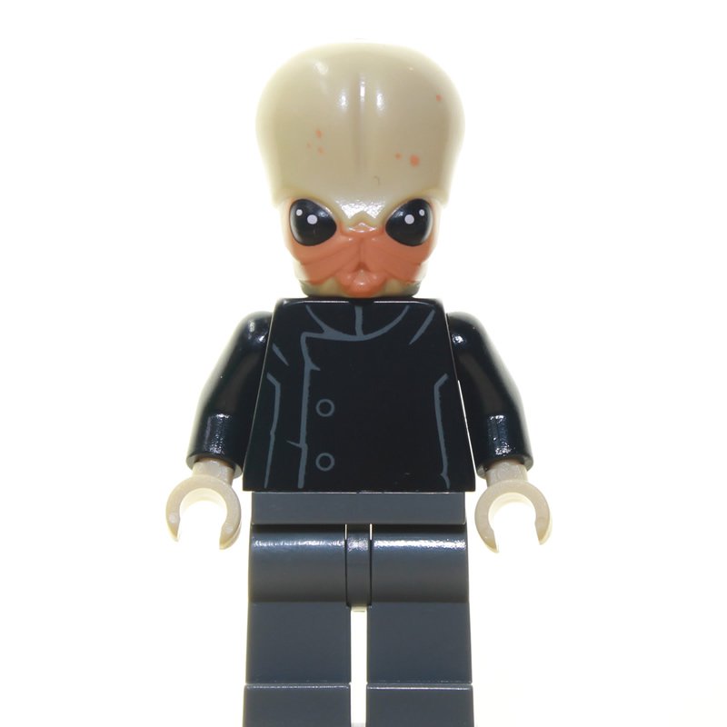 bith musician lego