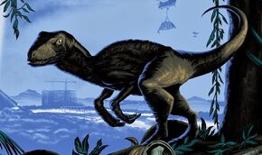 Raptor jw