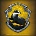 Hufflepuff pottermore