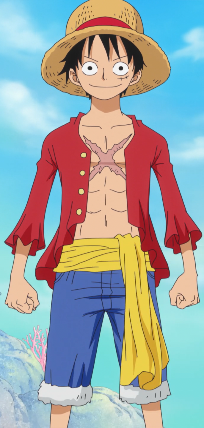 Monkey_D._Luffy_Anime_Post_Timeskip_Info