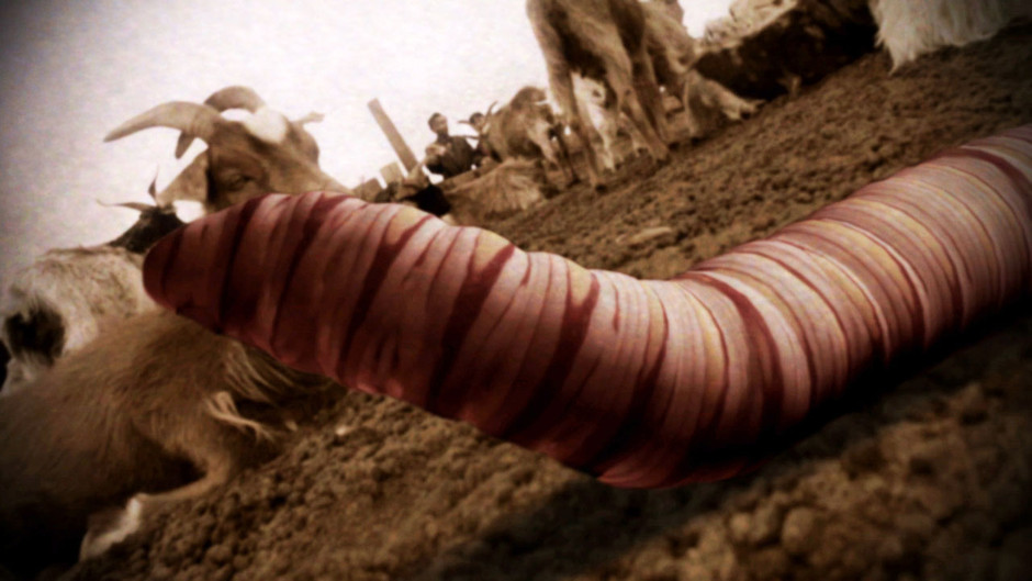 Mongolian Death Worm It's Something Wiki