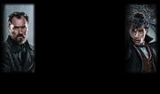 Wiki-background
