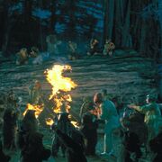Ewoks partying