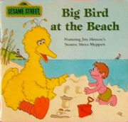Bigbirdbeach