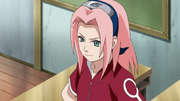 Sakura long Hair