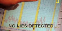 200px-0,440,25,245-I_see_no_lies_no_lies