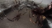 Attack on the Ten Year Gathering