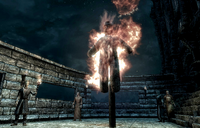 Tending the Flames