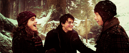 Hermione Granger, Harry Potter, Ron Weasley