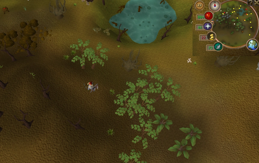 Treasure The RuneScape Wiki