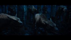 Wargs1