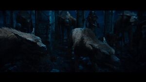 Wargs1